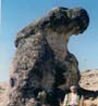 Una roca en Capyama